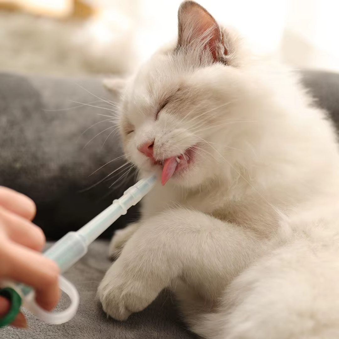 Seringa de Medicamentos para Gatos