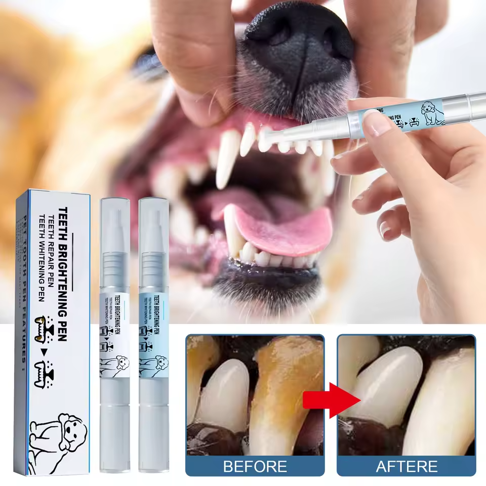 Kit de Canetas para Cuidados Bucais